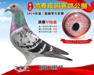 甘肃鸿泰庄园决赛116名