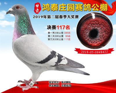 甘肃鸿泰庄园决赛117名
