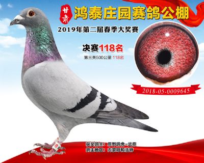 甘肃鸿泰庄园决赛118名