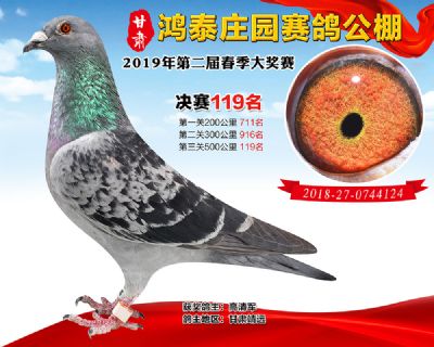甘肃鸿泰庄园决赛119名