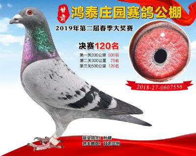 甘肃鸿泰庄园决赛120名
