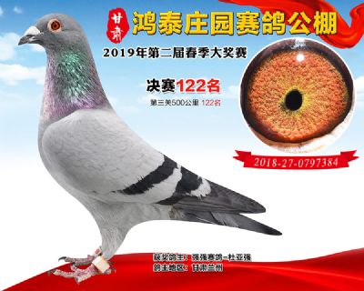 甘肃鸿泰庄园决赛122名