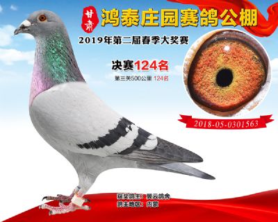甘肃鸿泰庄园决赛124名