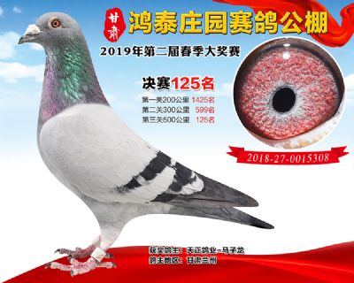 甘肃鸿泰庄园决赛125名