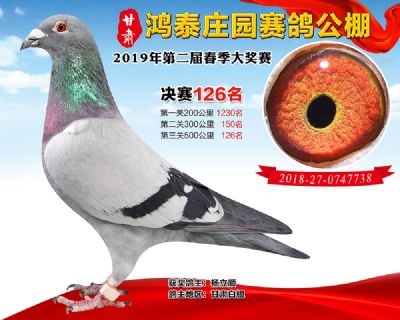 甘肃鸿泰庄园决赛126名