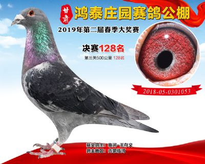 甘肃鸿泰庄园决赛128名