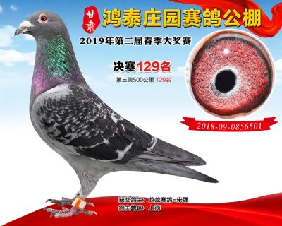 甘肃鸿泰庄园决赛129名
