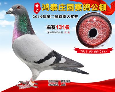 甘肃鸿泰庄园决赛131名