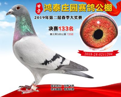 甘肃鸿泰庄园决赛133名