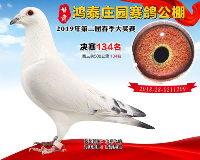 甘肃鸿泰庄园决赛134名
