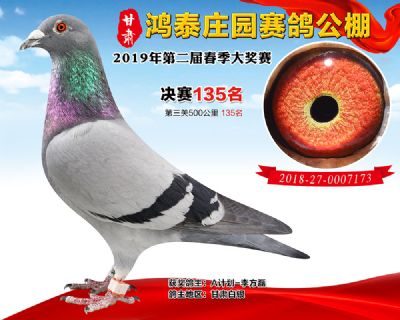 甘肃鸿泰庄园决赛135名