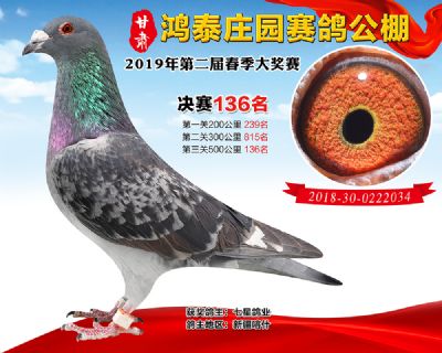 甘肃鸿泰庄园决赛136名