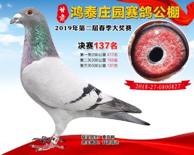 甘肃鸿泰庄园决赛137名