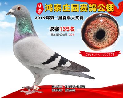 甘肃鸿泰庄园决赛139名