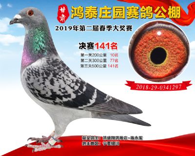 甘肃鸿泰庄园决赛141名