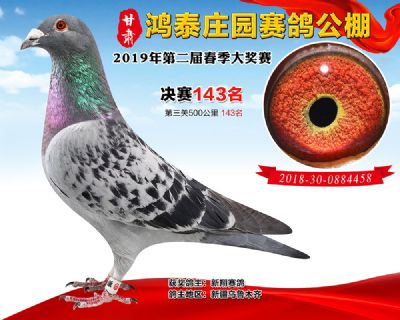 甘肃鸿泰庄园决赛143名