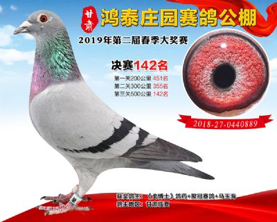 甘肃鸿泰庄园决赛142名