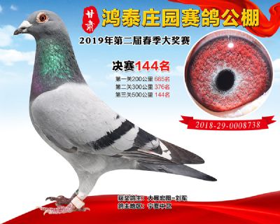 甘肃鸿泰庄园决赛144名