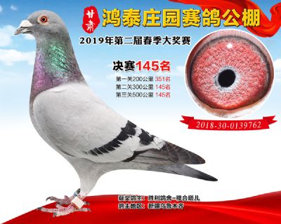 甘肃鸿泰庄园决赛145名