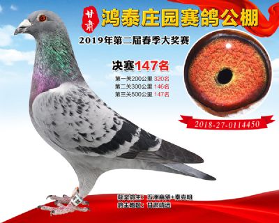 甘肃鸿泰庄园决赛147名