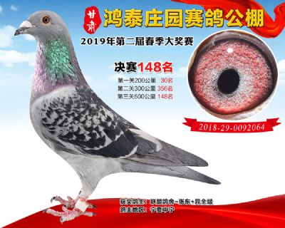 甘肃鸿泰庄园决赛148名