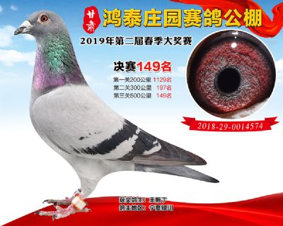 甘肃鸿泰庄园决赛149名