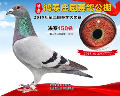 甘肃鸿泰庄园决赛150名
