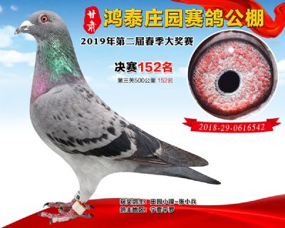 甘肃鸿泰庄园决赛152名