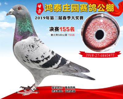 甘肃鸿泰庄园决赛155名