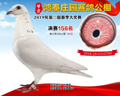 甘肃鸿泰庄园决赛156名