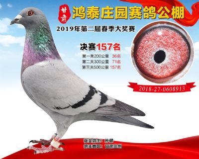 甘肃鸿泰庄园决赛157名
