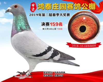 甘肃鸿泰庄园决赛159名