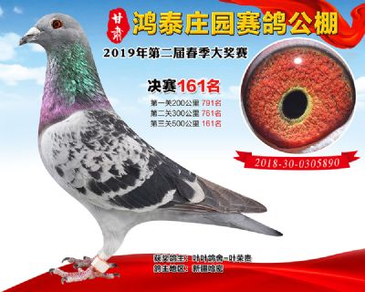 甘肃鸿泰庄园决赛161名