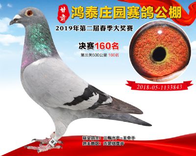 甘肃鸿泰庄园决赛160名
