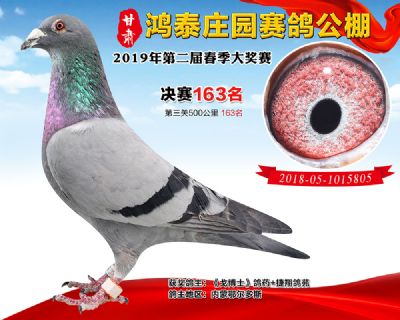 甘肃鸿泰庄园决赛163名