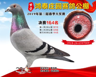 甘肃鸿泰庄园决赛164名