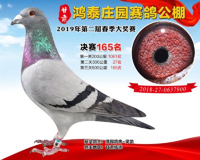 甘肃鸿泰庄园决赛165名