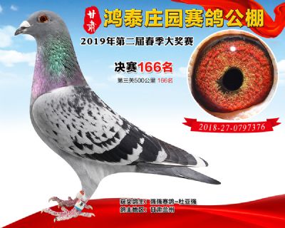 甘肃鸿泰庄园决赛166名