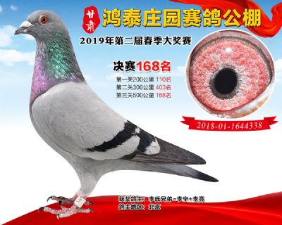 甘肃鸿泰庄园决赛168名