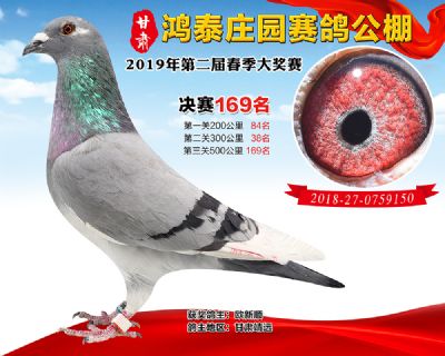 甘肃鸿泰庄园决赛169名