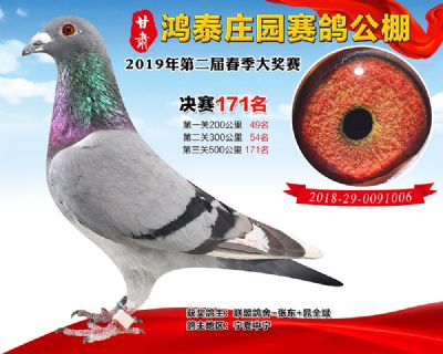 甘肃鸿泰庄园决赛171名