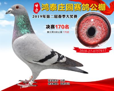 甘肃鸿泰庄园决赛170名