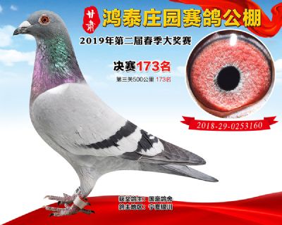 甘肃鸿泰庄园决赛173名