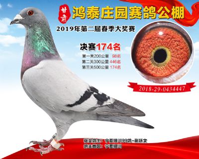 甘肃鸿泰庄园决赛174名