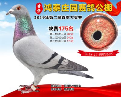 甘肃鸿泰庄园决赛175名
