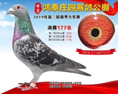 甘肃鸿泰庄园决赛177名