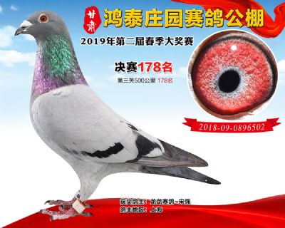 甘肃鸿泰庄园决赛178名