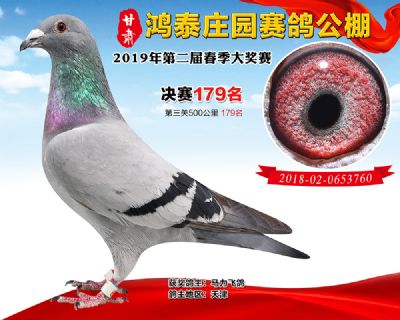 甘肃鸿泰庄园决赛179名