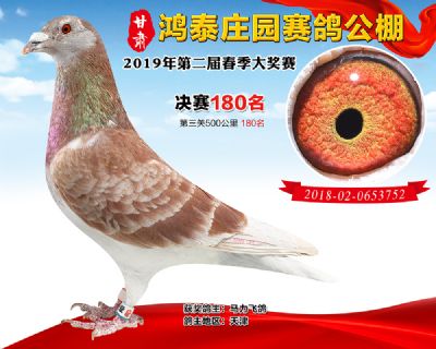 甘肃鸿泰庄园决赛180名
