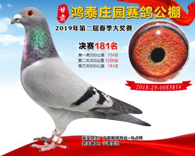 甘肃鸿泰庄园决赛181名